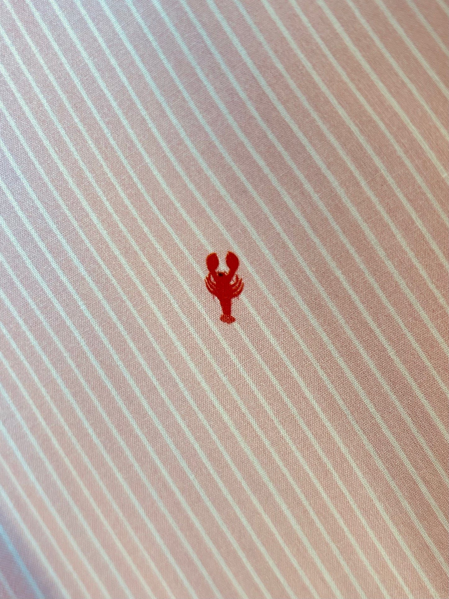 Hose Mini Lobster